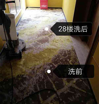 酒店地毯清洗